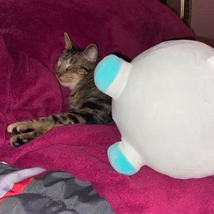 Meet your Posher, Imani